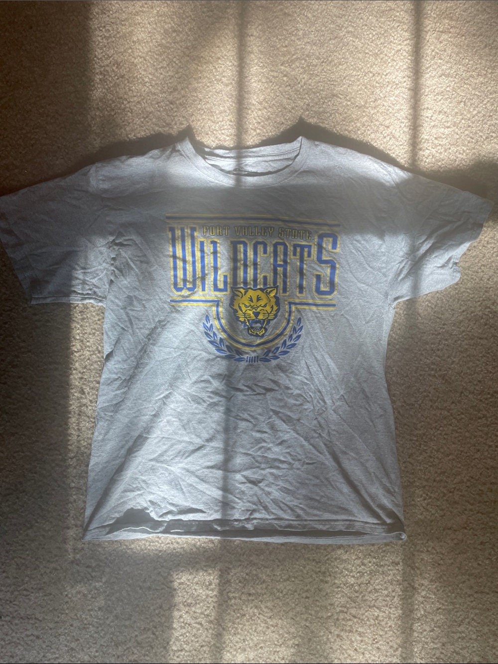Champion Light Blue Wildcats Graphic Tee with Yellow Print - Picture 1 of 2